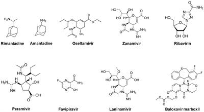 Antiviral options and therapeutics against influenza: history, latest developments and future prospects
